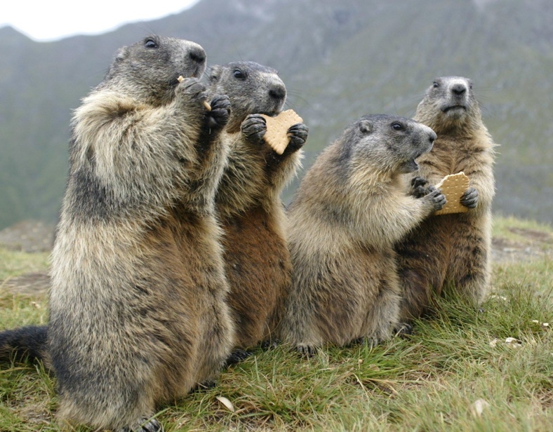 El día de la marmota en CaixaBank: Todo sigue igual… incluso peor