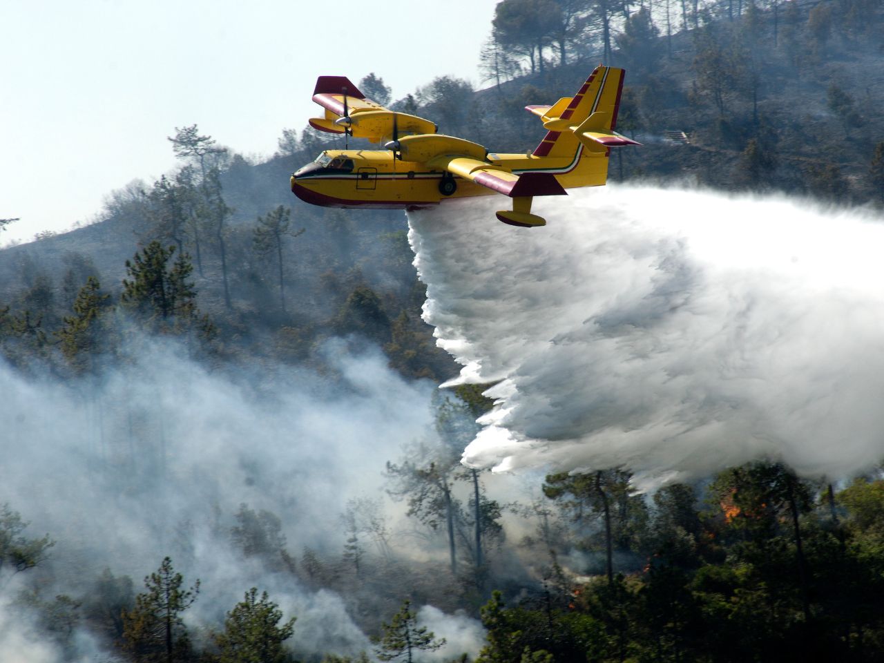 Incendios y Permiso Climático